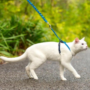 Petsafe Traksid Kassile Easy Walk, Sinine S