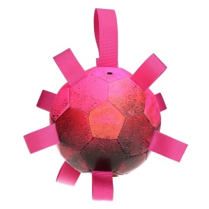 Dog Comets Mänguasi Koerale – pall Hypernova, roosa 15cm (ujub vees)