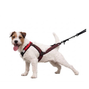 Zero DC šunų petnešos (kanikrosui / žygiams / dviračių vilkimui), „Faster“ raudonos SL