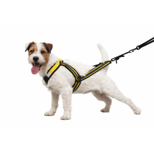 Zero DC Veorakmed Koerale (Canicross / Trekking / Jalgrattavedu) , "Faster" Kollane M