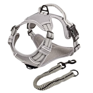 ne&no® Sangaga Traksid Koerale + Tõmbeid pehmendav lisarihm | XL (Amstaff, Pitbullterjer)