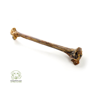 Kauartikel Chewing Treat, Ostrich Bone, 48-55cm