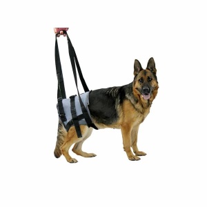 Genia Käeshoitavad Traksid Haigele Koerale L (Tagumised Käpad) 50-63cm / Sinine