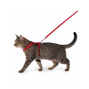 Flamingo Traksid Kassile Punane + Jalutusrihm