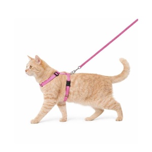 Flamingo Traksid Kassile Roosa + Jalutusrihm