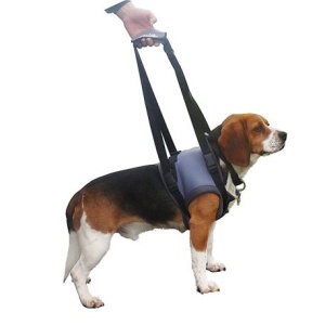 Genia Käeshoitavad Traksid Haigele Koerale S (Eesmised Käpad) 30-45cm / Sinine
