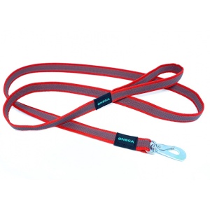 13534-kummeeritud-jalutusrihm-punane-onega_v1.jpg