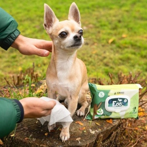 Niisked Salvrätid Eco Tea & Chlorhexidin 30tk
