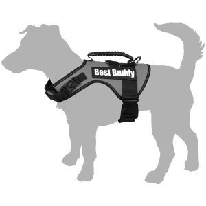 14055-traksid-best-buddy-koerale-roheline-1.jpg
