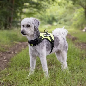 14055-traksid-best-buddy-roheline-c.jpg