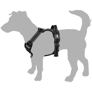 14160-traksid-balou-sinine-koeratraksid-1-v1.jpg