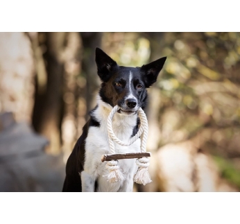 Niki Natural веревка Игрушка для собак с рогами оленя 40см