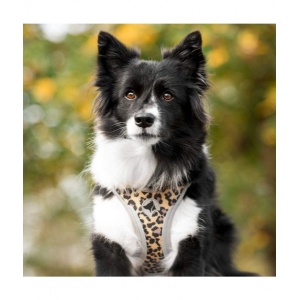 14389-traksid-refelctive-leopard-v2-v2.jpg