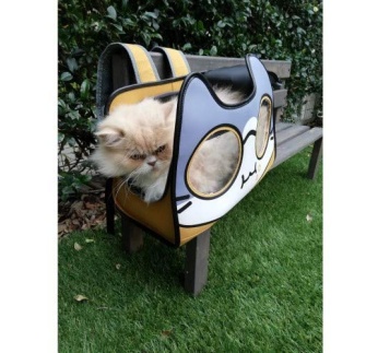 14789-kandekott_catmania_1.jpg