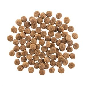 15139-go-solutions-skin-coat-koeratoit-kanalihaga-kuivtoit-b.jpg