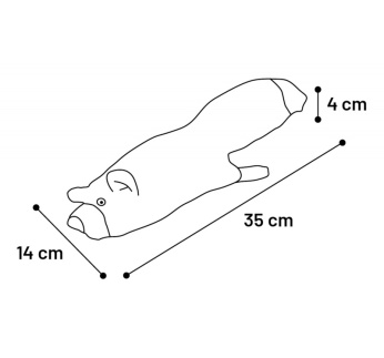 15143-manguasi_kassile_elektrooniline_flapso_orav_b.jpg
