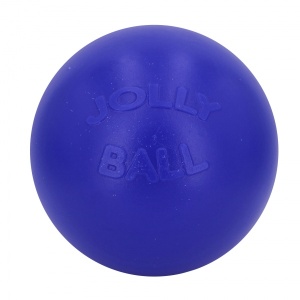 15568-manguasi-koerale-jolly-push-n-play-sinine.jpg