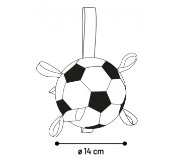 15710-jalgpall_towa_manguasi_koerale__2_.jpg