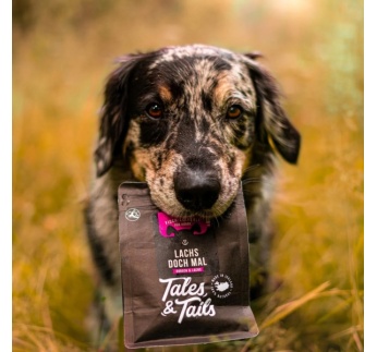 15942-tales_and_tails_lohe_tursa_maiused_koerale_a.jpg