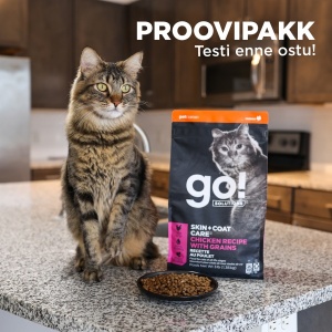 15948-proovipakk_go_kassile.jpg