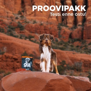 15952-proovipakk_go_koerale.jpg