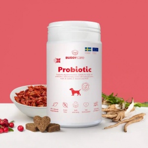 16057-buddy-probiootikumid.jpg