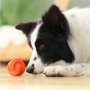 16139-petdreamhouse-chewtastic-geo-hex-toiduga-taidetav-manguasi-koerale-oranz-b.jpg