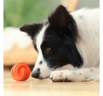 16139-petdreamhouse_chewtastic_geo-hex_toiduga_taidetav_manguasi_koerale-_oranz_b.jpg