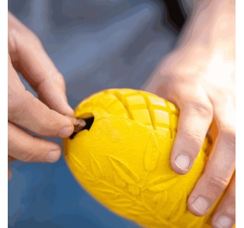 16157-sprenger_koera_manguasi_fruit_challenge_mango_c.jpg