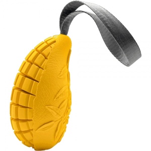 16157-sprenger_koera_manguasi_fruit_challenge_mango_d.jpg