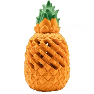 16158-sprenger_koera_manguasi_fruit_challenge_ananass.jpg