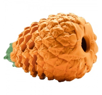 16158-sprenger_koera_manguasi_fruit_challenge_ananass_a.jpg