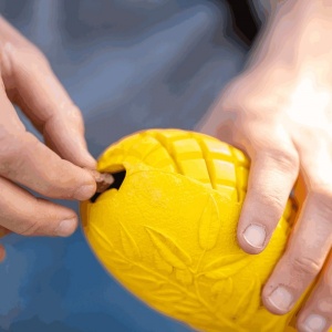 16371-sprenger_koera_manguasi_fruit_challenge_mango_c_v1.jpg