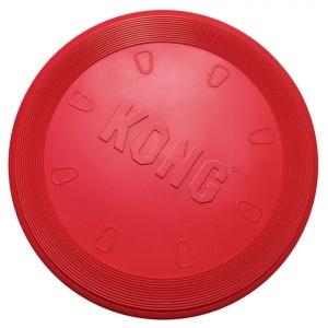 5246-kong-flyer.jpg