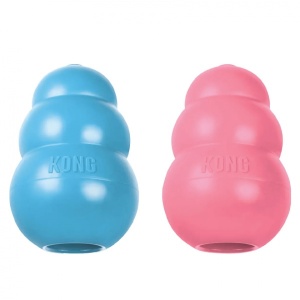 5295-kong_kutsikale_s_v1.jpg