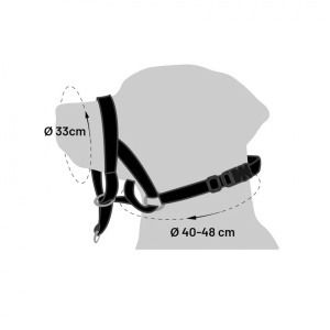 5457-koonurihm-koerale-s-1.jpg