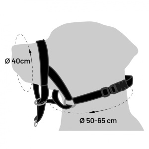 6585-koonurihm-koerale-l-1.jpg