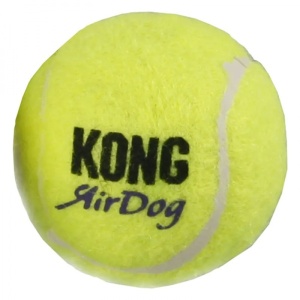 8256-kong-tennispall-xs-manguasi-koerale.jpg