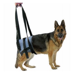 Genia Harness for Sick Dogs L (Back Legs) 50-63cm