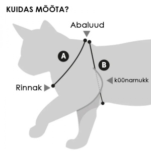 9658-mootmisjuhend-v6.jpg