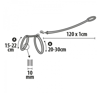 9902-traksid_kassipojale_punane___jalutusrihm_2_v1.jpg