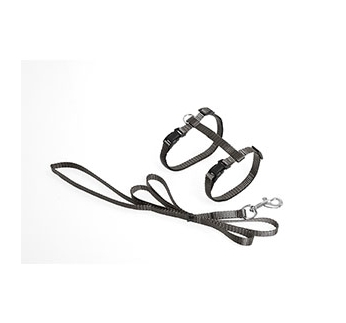 Cat Harness with Leash Grey
