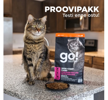 proovipakk go kassile.jpg