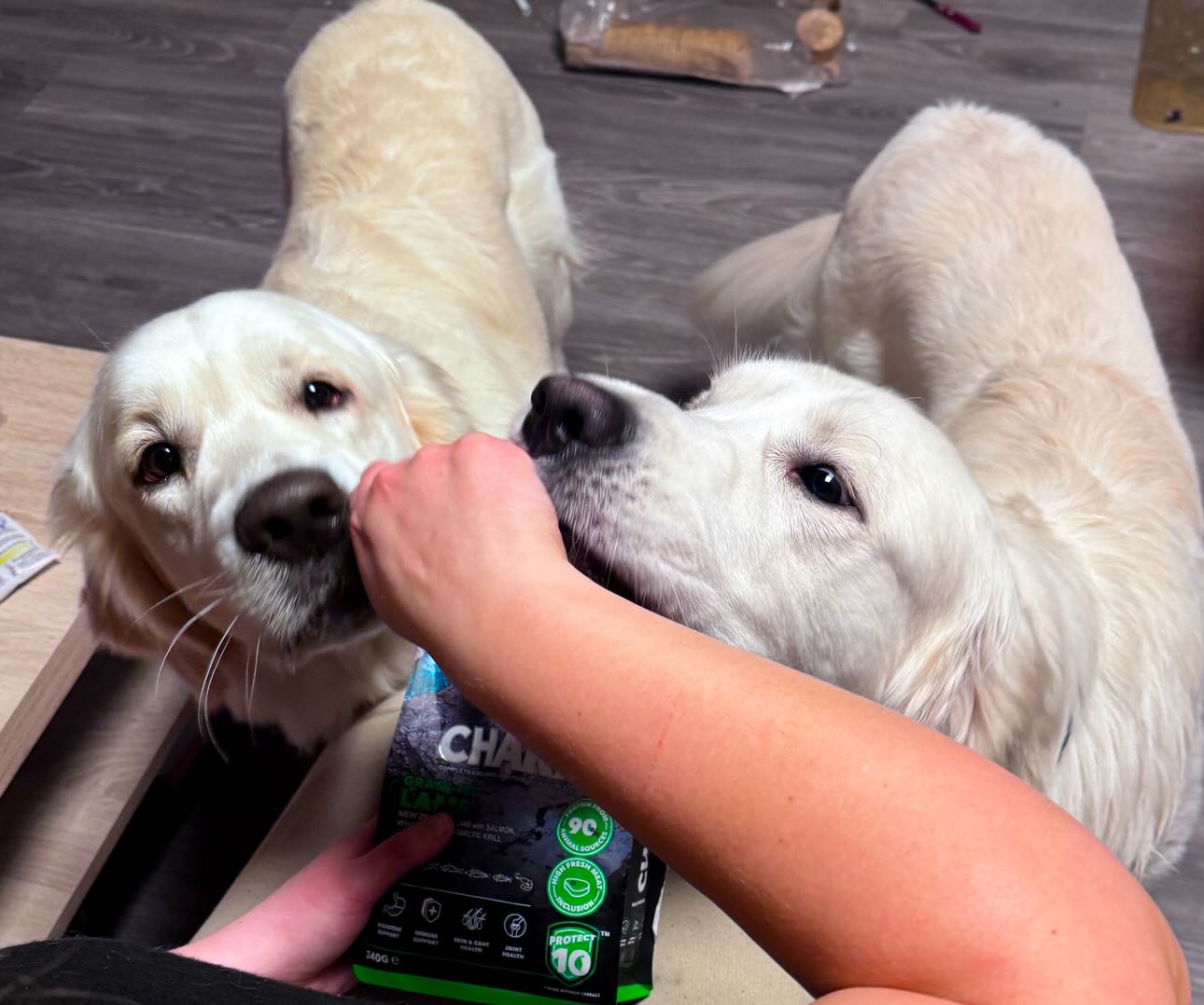 1000027586.jpg (122 KB)