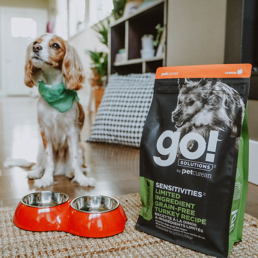 Milline Go! sari sobib sinu lemmikule?