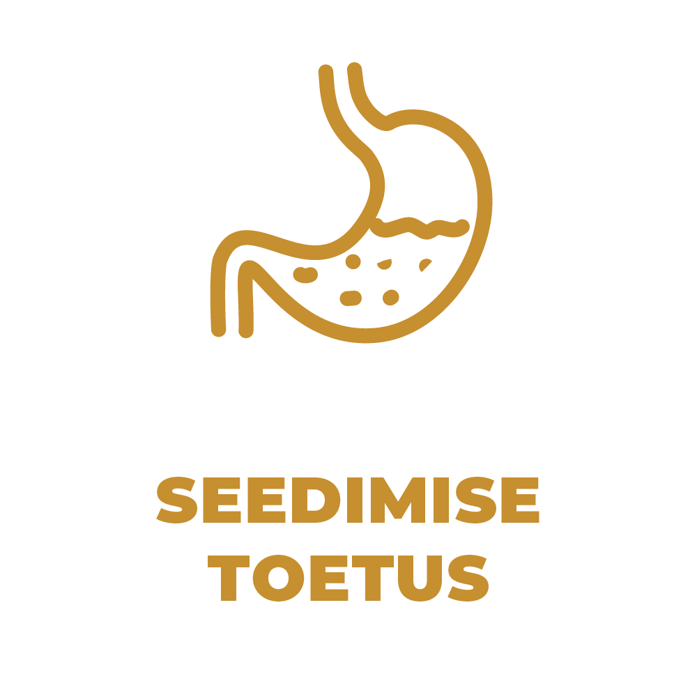 Seedimise tugi