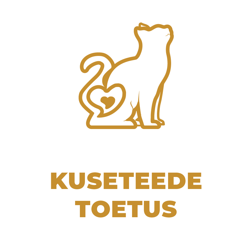 Kuseteede tugi